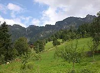 Woell Hotel Alpbach